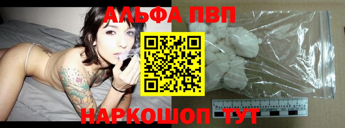 А ПВП СК КРИС Балтийск