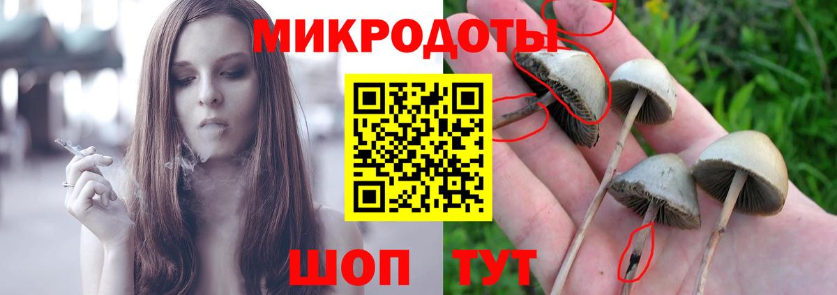 Псилоцибиновые грибы Psilocybine cubensis  Вход с VPN  Балтийск 